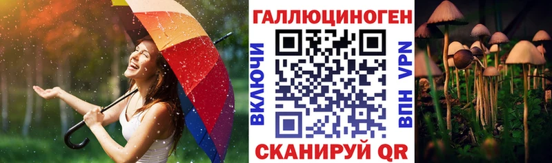 Галлюциногенные грибы Psilocybe  Купить где  Западная Двина 